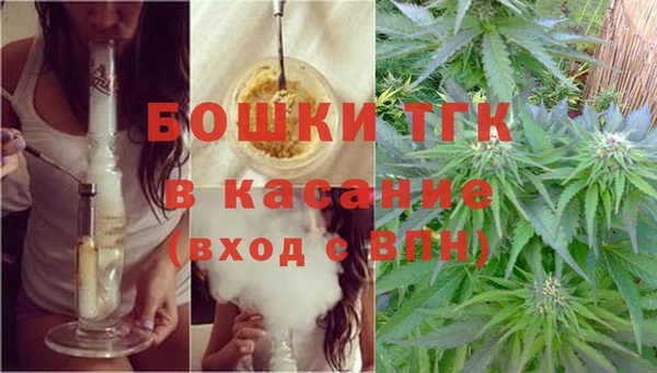 ПСИЛОЦИБИНОВЫЕ ГРИБЫ Баксан