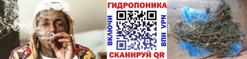 наркота  Питкяранта  Канабис LSD WEED 
